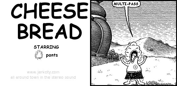 pants: MULTI-PASS