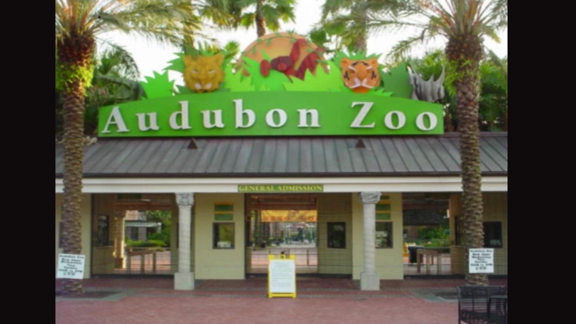 Spigot Visits the Zoo